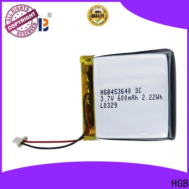 popular flat li ion battery directly sale for computers