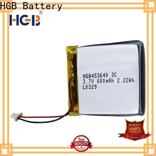 HGB popular flat lithium ion battery pack directly sale for notebook
