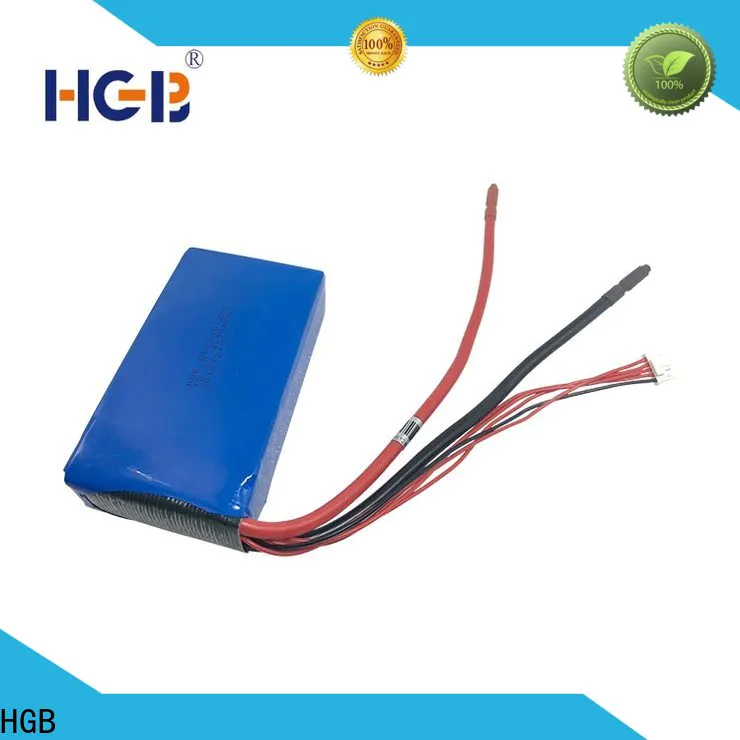 HGB non explosive 12v lithium ion battery charger circuit wholesale for EV car