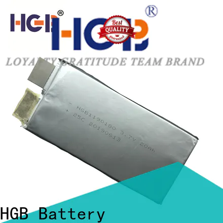 HGB durable low temperature lithium ion battery factory price for frigid zone