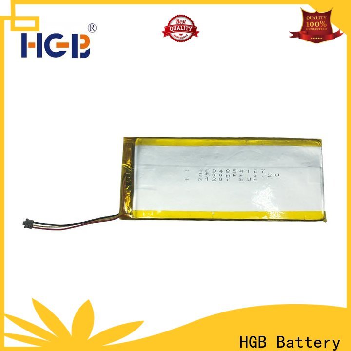 HGB flat lithium ion battery supplier for notebook