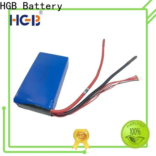 HGB fast charge lithium phosphate battery charger wholesale for digital products