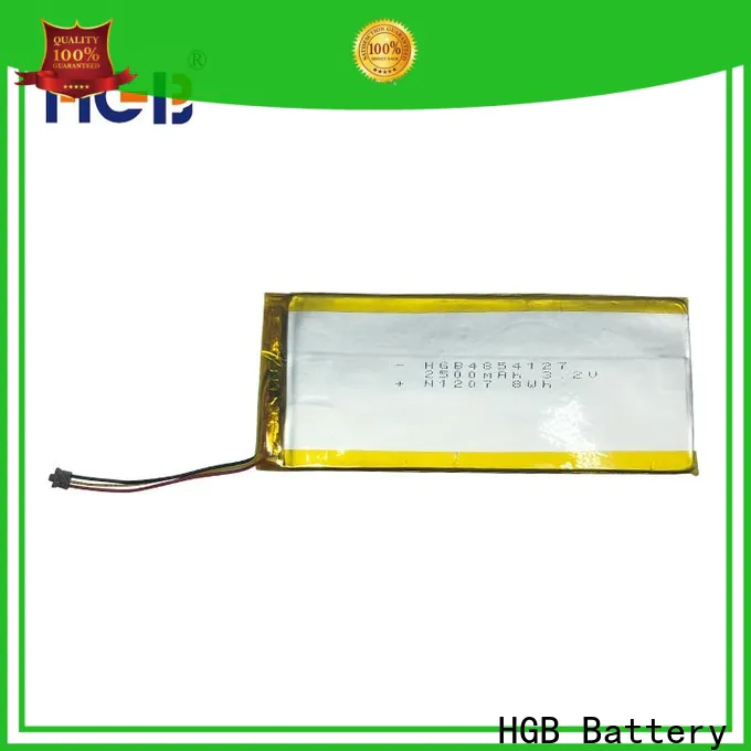 HGB popular thin lithium polymer battery manufacturer for notebook