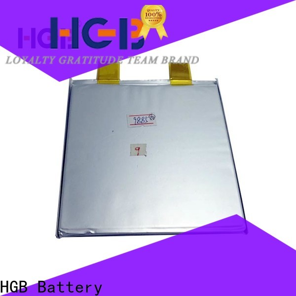 HGB 48 volt lifepo4 battery customized for power tool