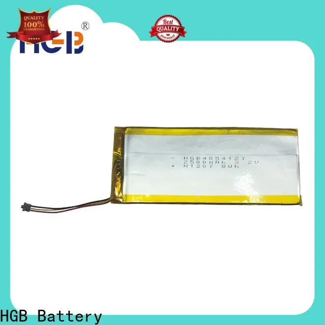 HGB flat cell lithium ion battery manufacturers for computers