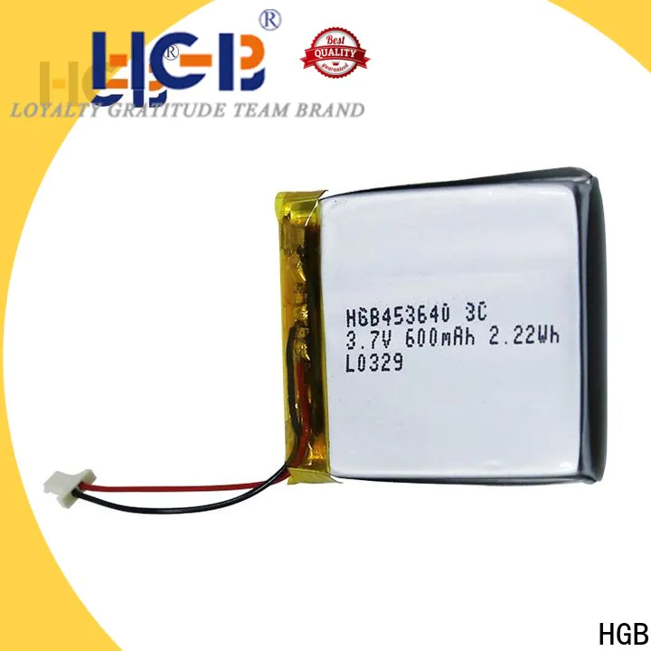 HGB thinnest lithium ion battery Suppliers for mobile devices