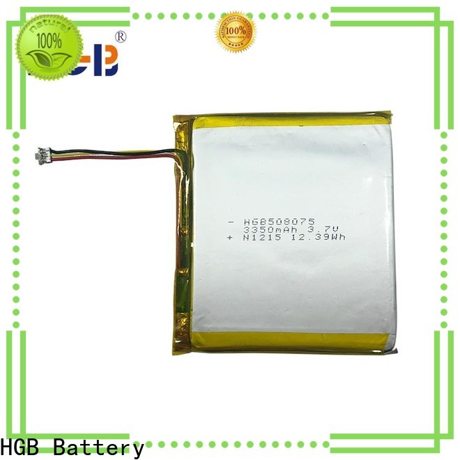 HGB Battery flat li ion battery manufacturer for computers