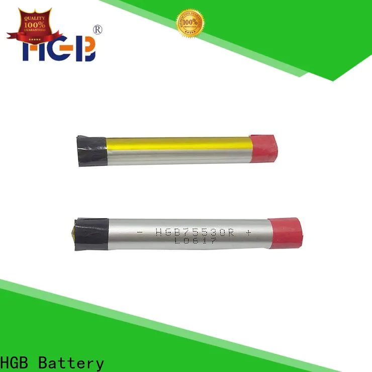 HGB ECig Battery factory price for electronic cigarette