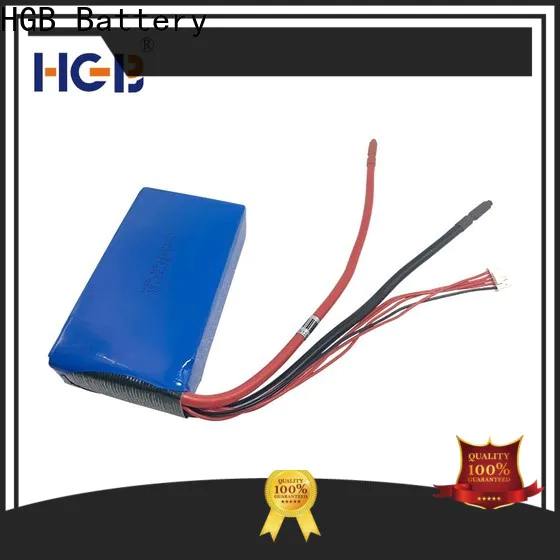 Top lithium iron phosphate deep cycle battery manufacturer for power tool