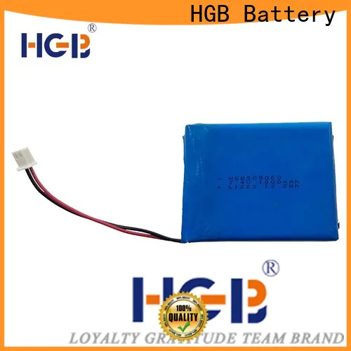 HGB flat cell lithium ion battery supplier for computers