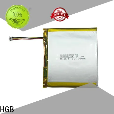 HGB Top flat lithium ion battery for business for computers