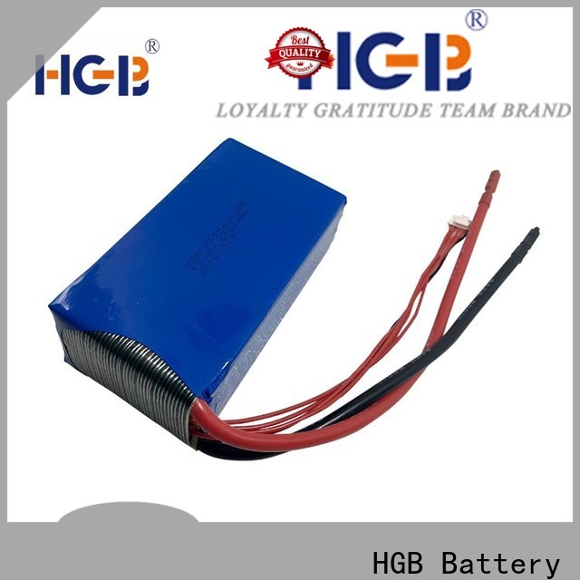 HGB 24v lithium battery wholesale for power tool