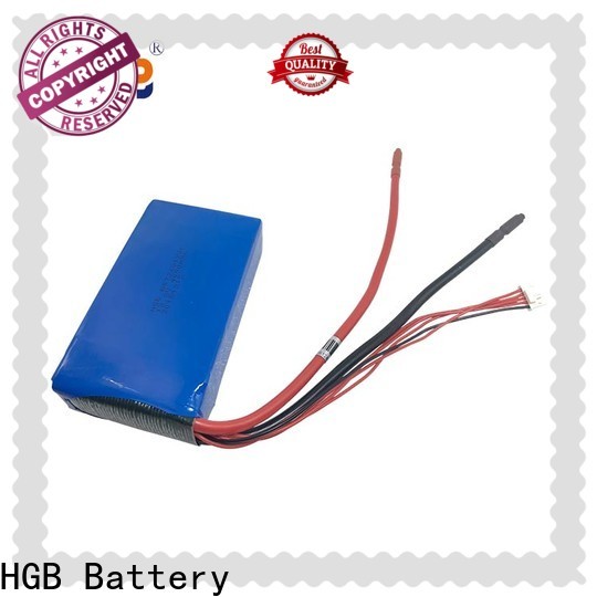 HGB lithium iron phosphate battery 12v 100ah customized for EV car