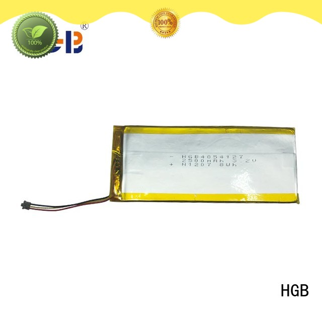 HGB popular flat lithium battery supplier for computers