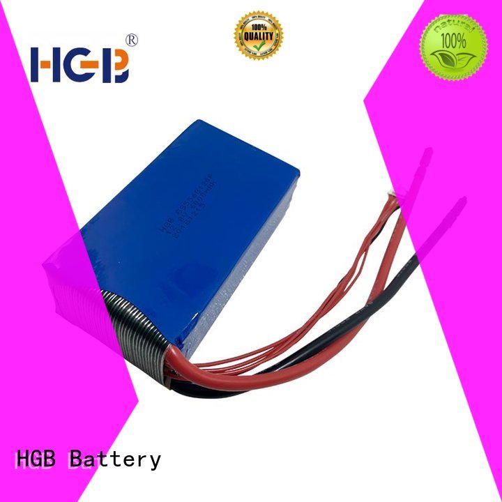 long cycle life lifep04 battery charger supplier for EV car