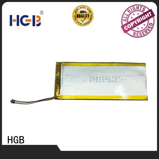 HGB flat lithium ion battery customized for computers