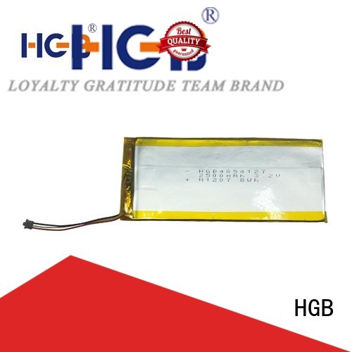 HGB popular flat lithium ion battery directly sale for computers