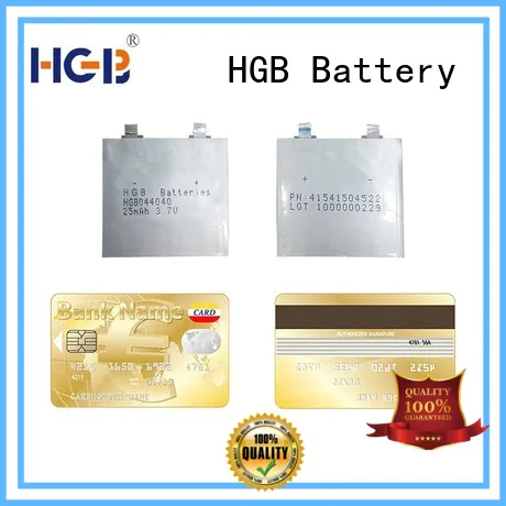 primary hin lithium battery supplier for wearable devices