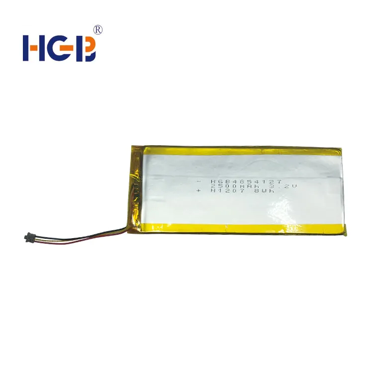 Flat lithium polymer battery 3.2V 1C 2500mAh HGB4854127