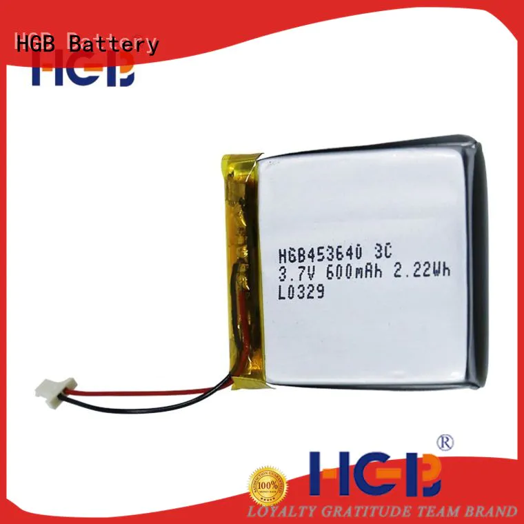 popular flat lithium ion battery pack factory price for digital products