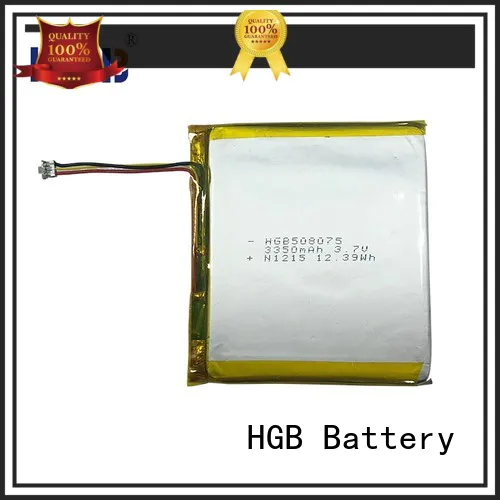 popular flat lithium polymer battery supplier for computers