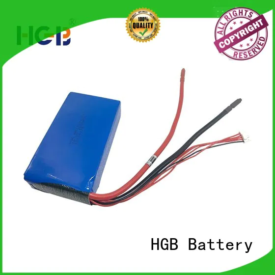 HGB light weight lifepo4 batterie customized for EV car