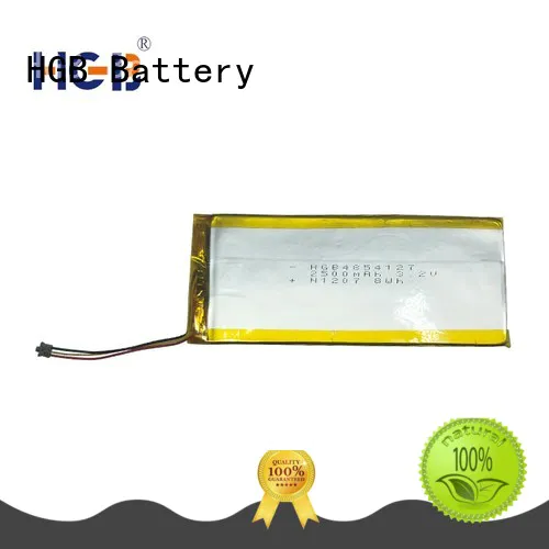 flat lithium polymer battery customized for computers HGB
