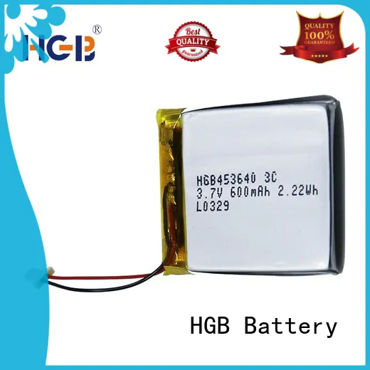 HGB quality flat lithium polymer battery supplier for computers