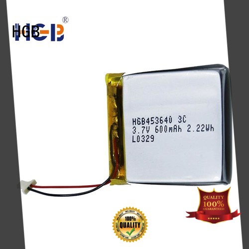 HGB reliable flat lithium polymer battery directly sale for computers