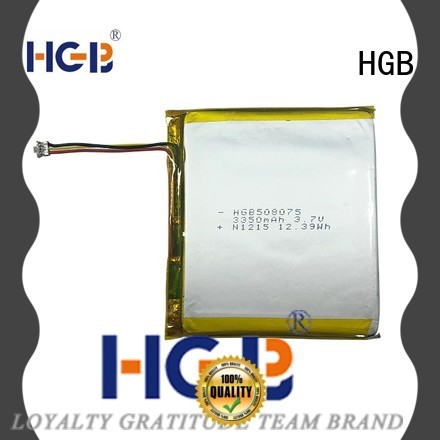 HGB thin lithium polymer battery customized for computers