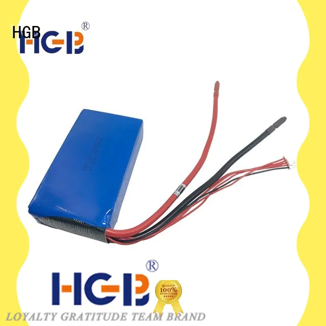 HGB lithium ion battery vs lithium polymer battery directly sale for digital products