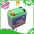 HGB headway lifepo4 battery customized for digital products