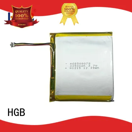 HGB popular flat lithium polymer battery supplier for computers