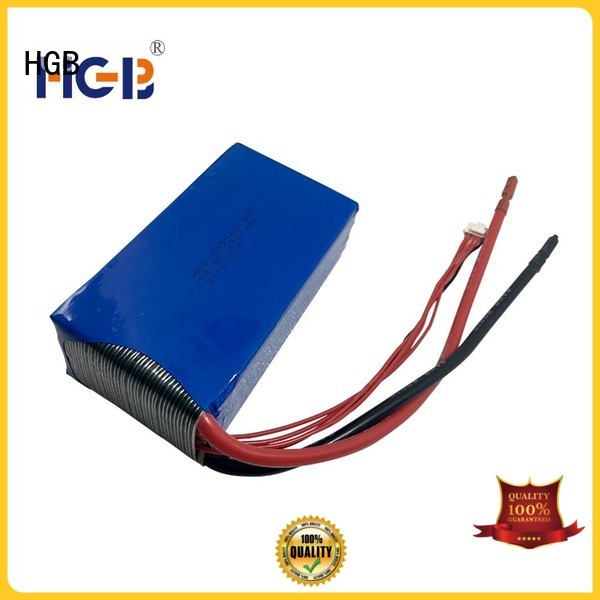 fast charge lifepo4 car battery factory price for RC hobby