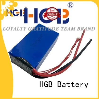 HGB low cost lifep04 battery directly sale for power tool