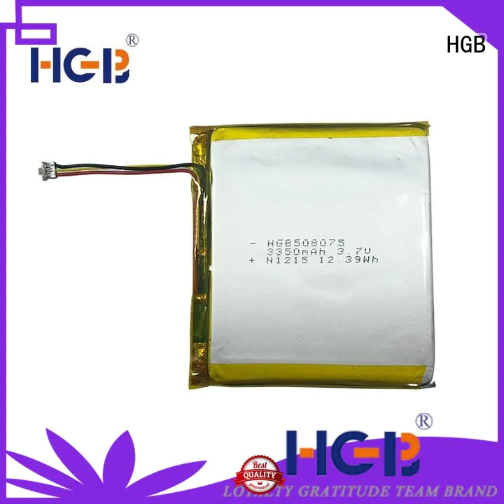 HGB flat lithium polymer battery customized for computers