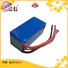 HGB lifep04 battery customized for power tool