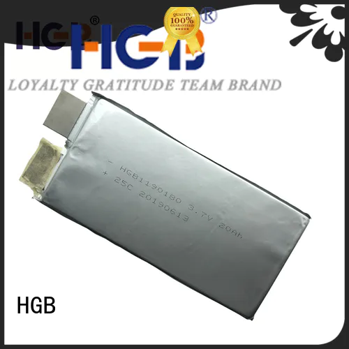 HGB reliable low temperature rechargeable batteries series for public security